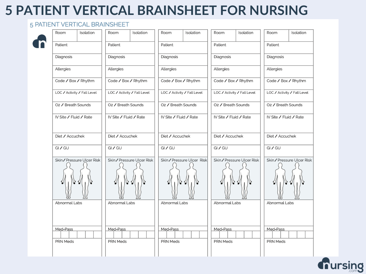 5 PATIENT VERTICAL BRAIN SHEET