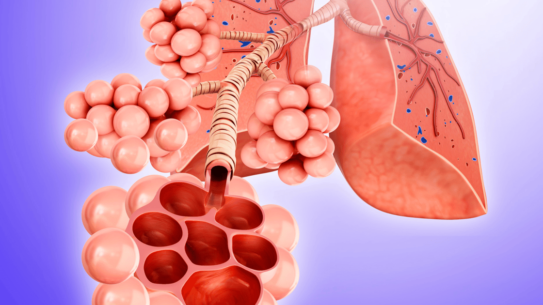 Breaking Down Alveoli Atelectasis - You Need to Know This for the NCLEX