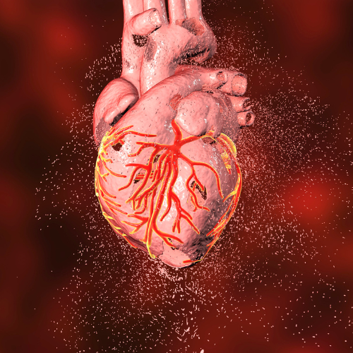 Cardiac Valves Blood Flow Nursing Mnemonic