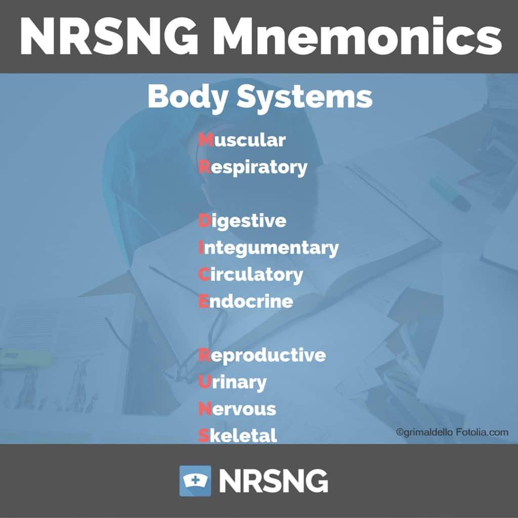Body system mnemonics