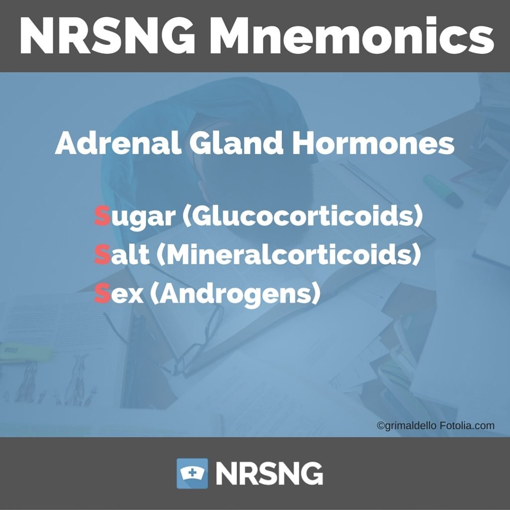 Adrenal Gland Hormones