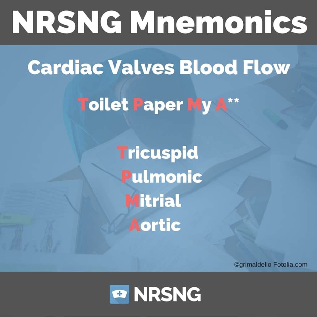 Cardiac Valves Blood Flow Nursing Mnemonics 