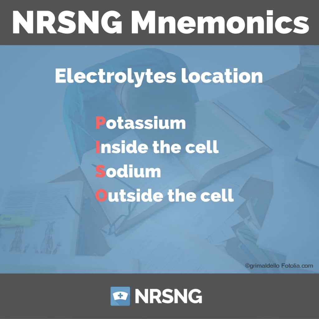 Electrolytes location mnemonics