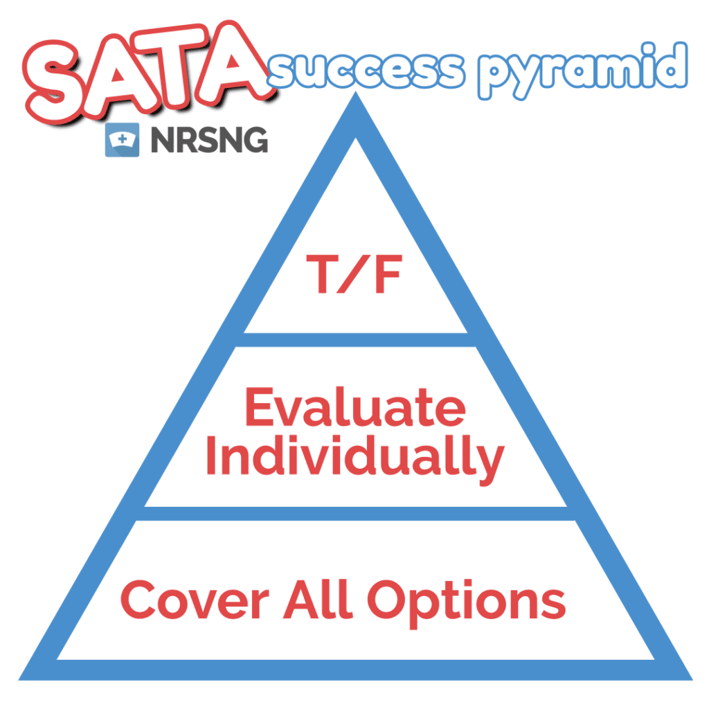 the sata success pyramid by nrsng