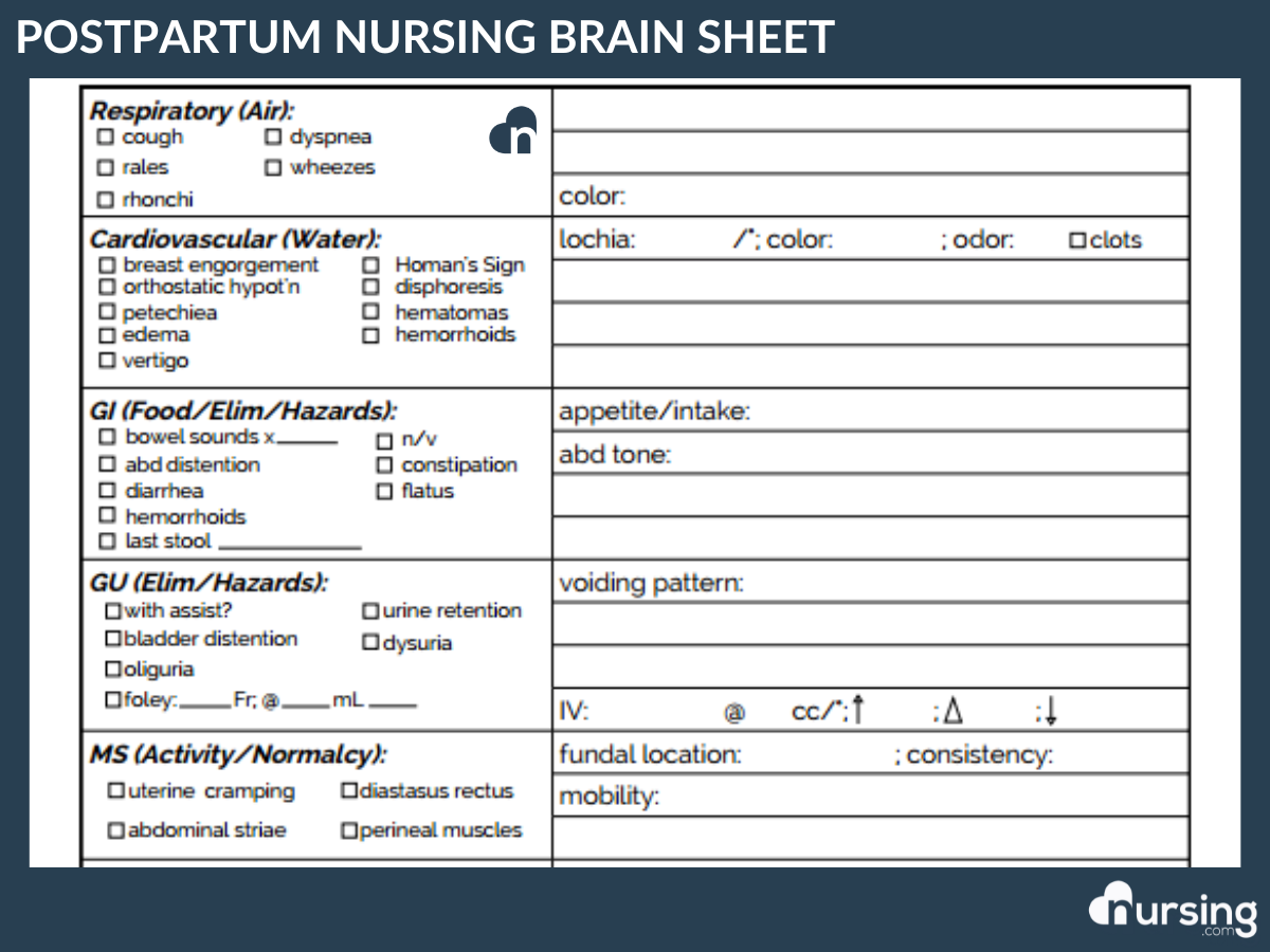 Ultimate Nursing Report Sheet Database & Free Downloads