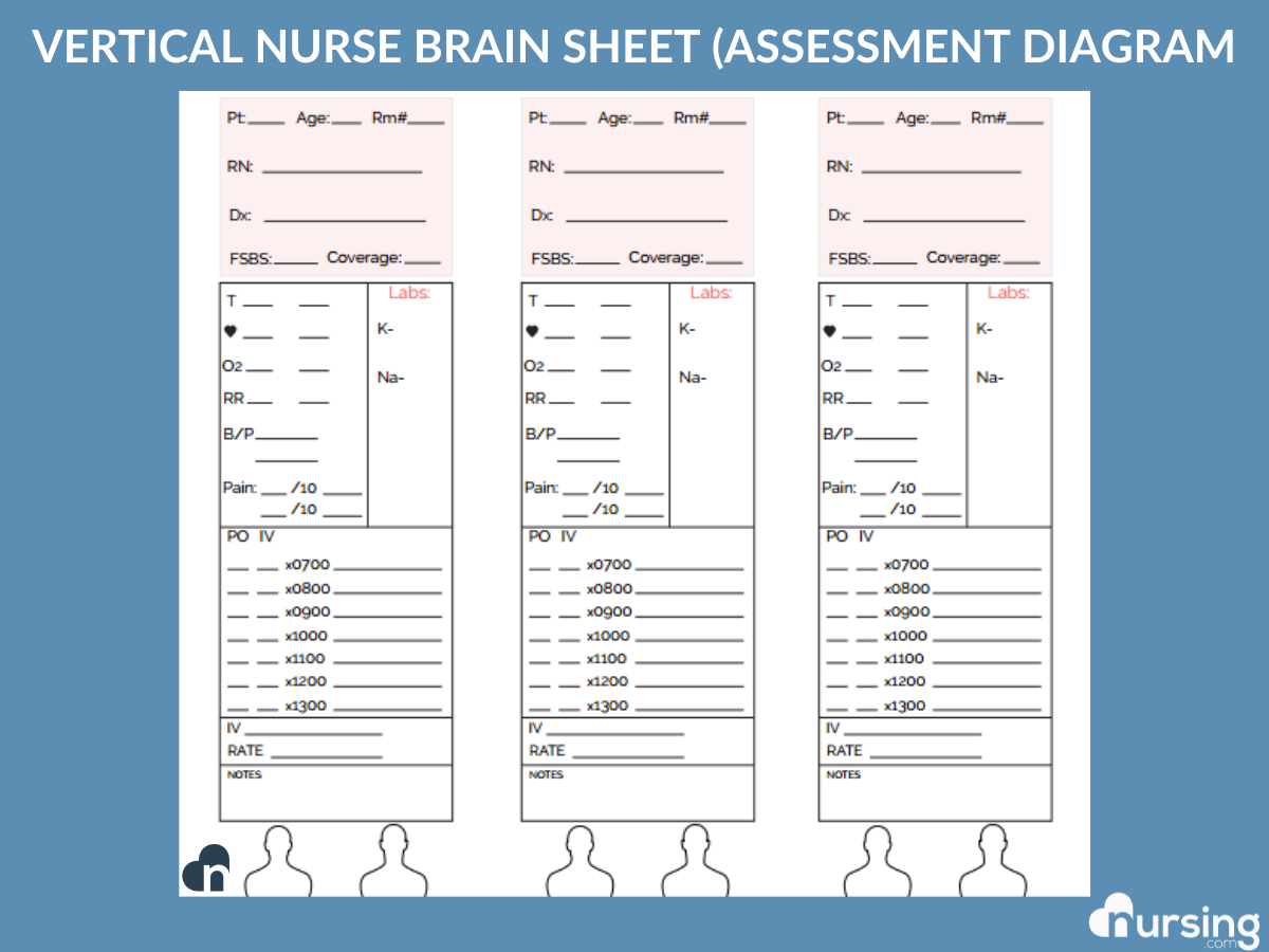 assessment sheet for nurses