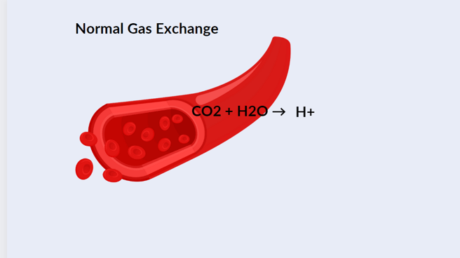 normal gas exchange, CO2 leading to low pH