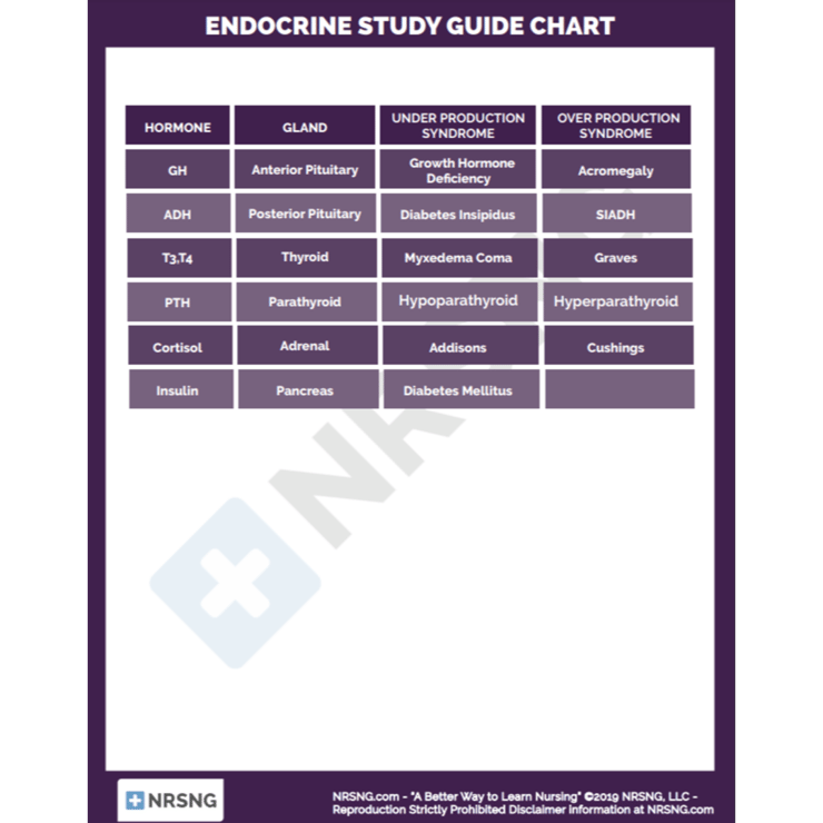 Endocrine Study Guide Chart